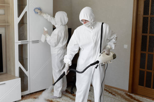 Professional Mold Remediation in Tomah, WI