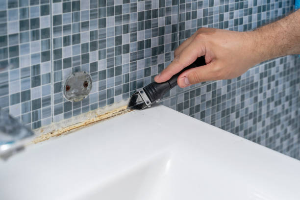 Best Black Mold Remediation in Tomah, WI