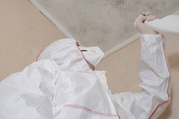 Best Residential Mold Remediation in Tomah, WI